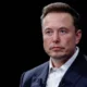 Musk AI prediction