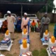 NEMA relief distribution