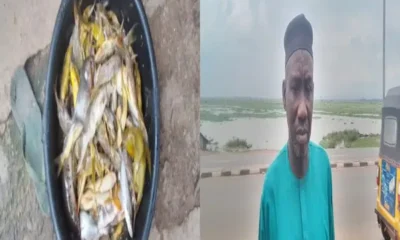fishing