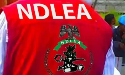 ndlea