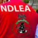 ndlea