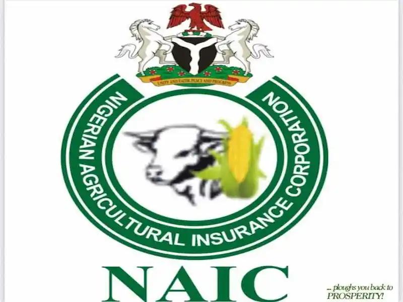 NAIC
